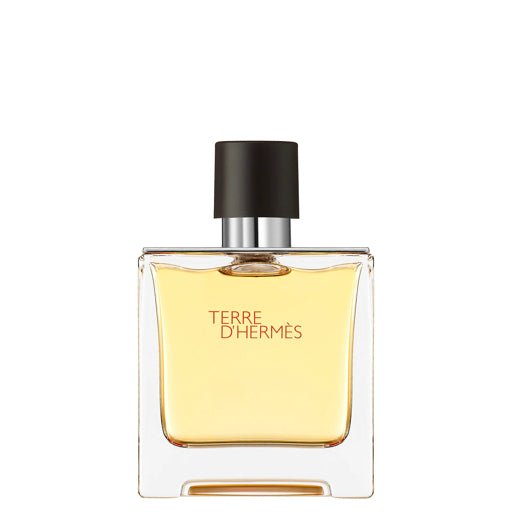 Terre d'Hermès EDT — 100ml – authentic Hermès perfume | Ares Club